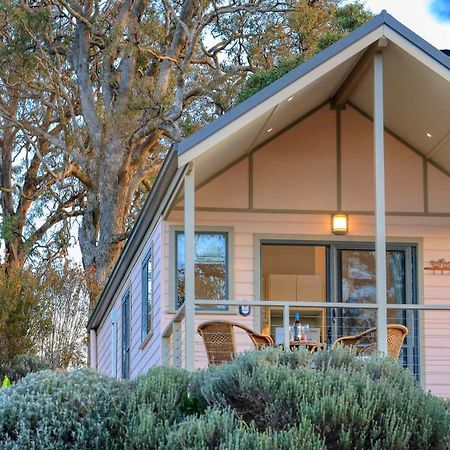 Grace Cottages Uralla Bagian luar foto