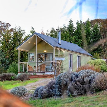 Grace Cottages Uralla Bagian luar foto