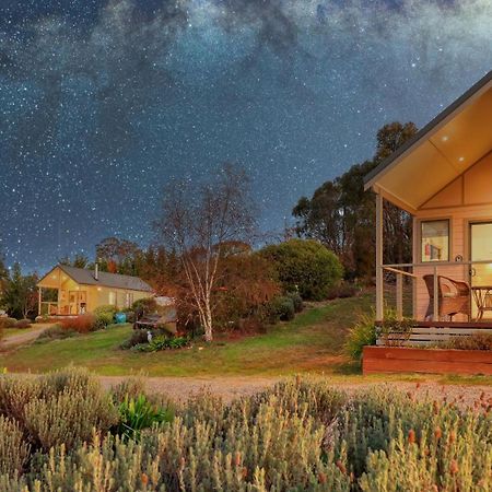 Grace Cottages Uralla Bagian luar foto