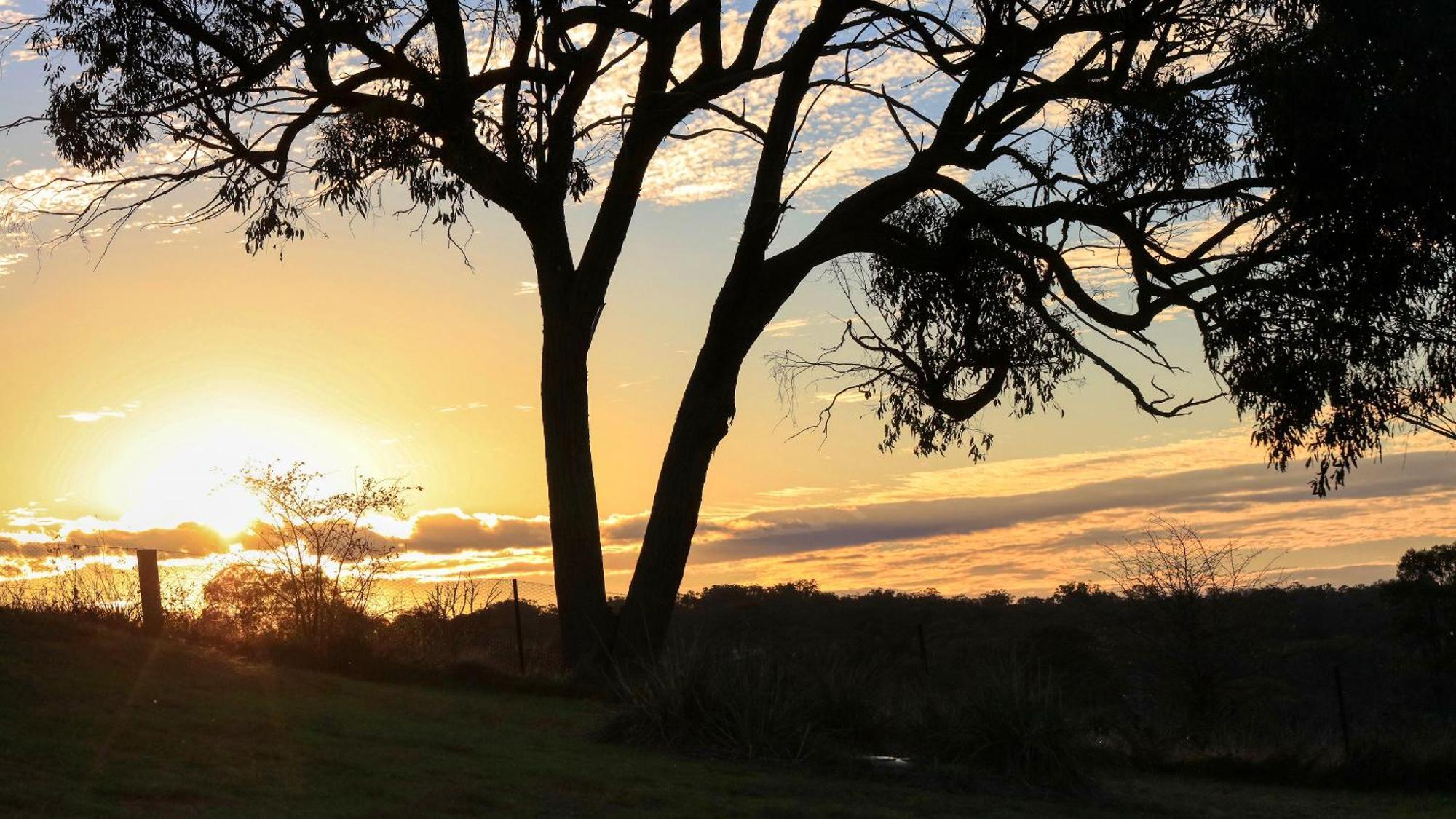 Grace Cottages Uralla Bagian luar foto