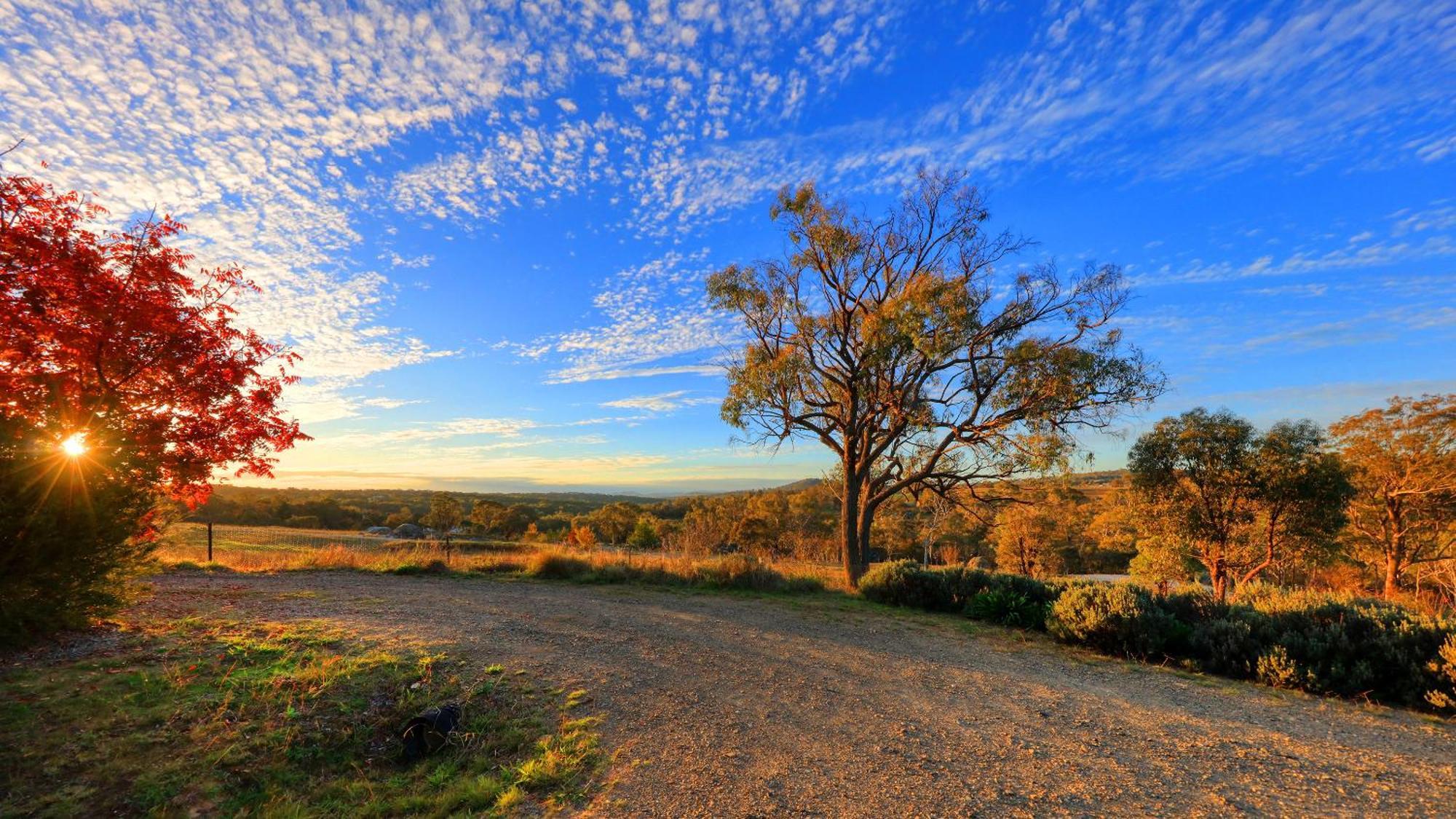 Grace Cottages Uralla Bagian luar foto