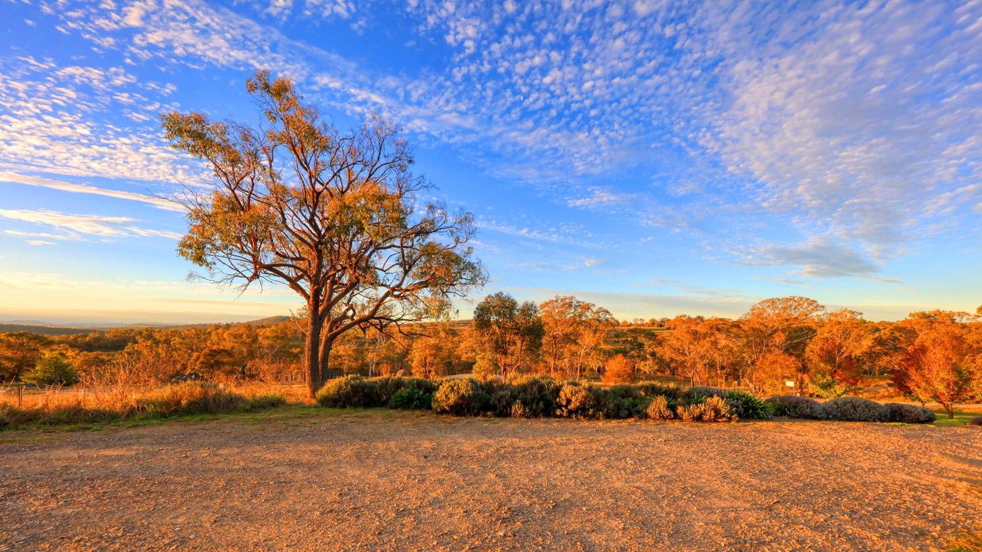 Grace Cottages Uralla Bagian luar foto